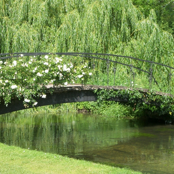 AUTUMN SALE + BUNDLE FOR SAVINGS - Picture 6 of 7